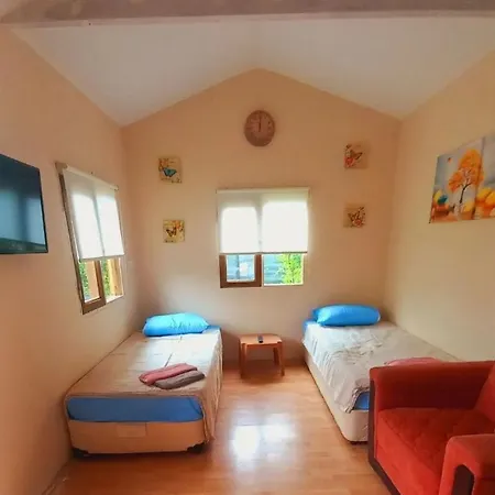 Bungalow Nature بيت خشبي